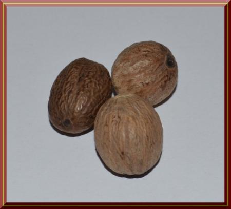 3 Muskatnüsse ganz, aus Grenada, Westindien.