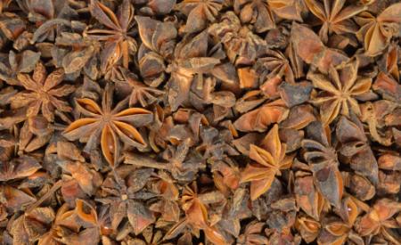 Ganzer Sternanis mit Bruch