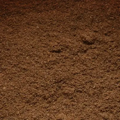 Gemahlenes Bio Bourbon Vanillepulver aus Madagaskar
