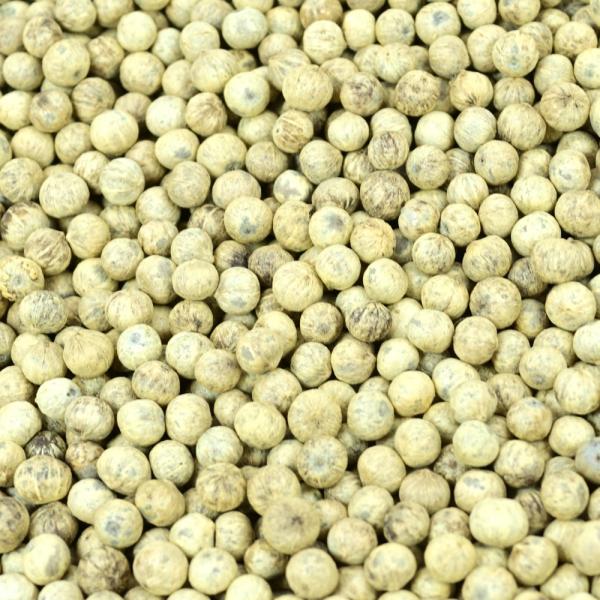 Weisser Bio Kampot Pfeffer ganze Körner